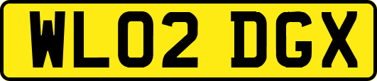WL02DGX