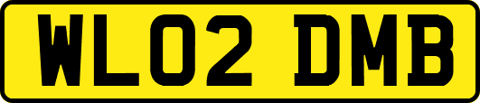 WL02DMB