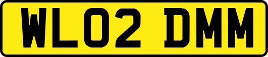 WL02DMM