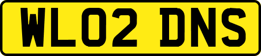 WL02DNS
