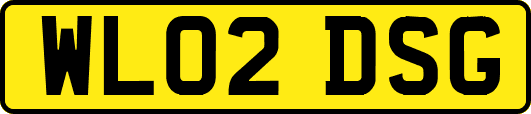 WL02DSG