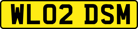 WL02DSM