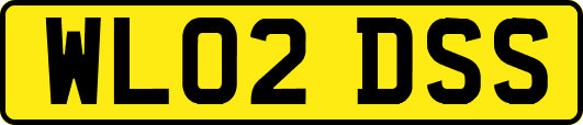 WL02DSS
