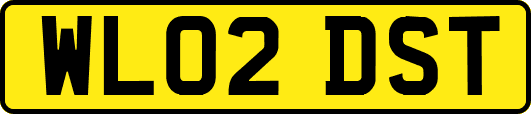 WL02DST