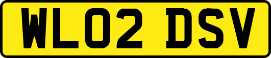 WL02DSV