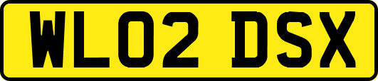 WL02DSX