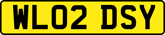 WL02DSY