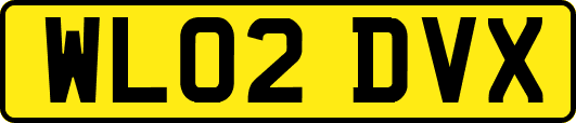 WL02DVX