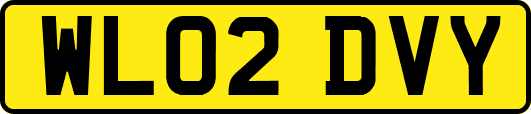 WL02DVY