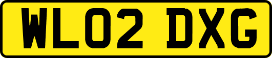 WL02DXG