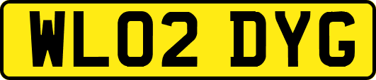 WL02DYG