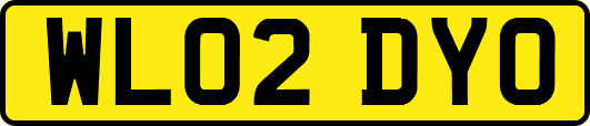 WL02DYO