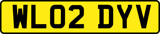 WL02DYV