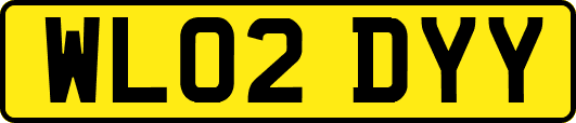 WL02DYY