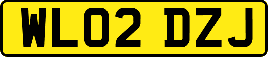 WL02DZJ