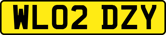 WL02DZY