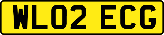 WL02ECG