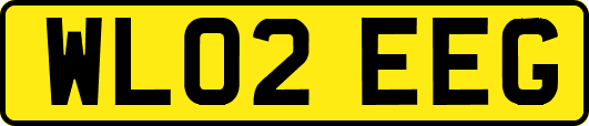 WL02EEG