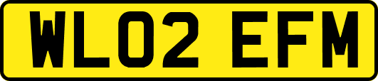 WL02EFM