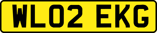 WL02EKG