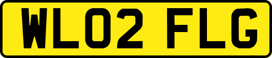 WL02FLG