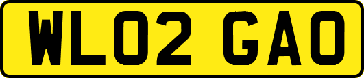 WL02GAO