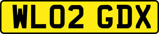 WL02GDX