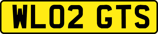 WL02GTS