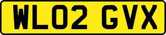 WL02GVX