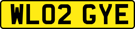 WL02GYE