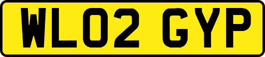 WL02GYP