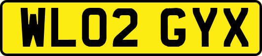 WL02GYX
