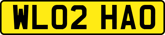WL02HAO