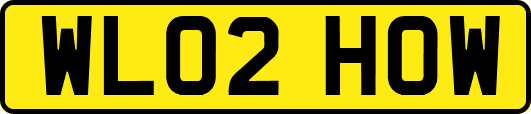 WL02HOW