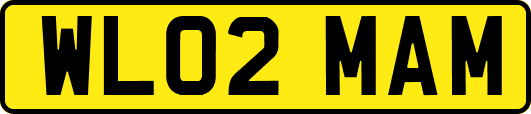 WL02MAM