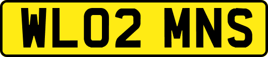 WL02MNS