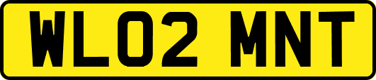 WL02MNT
