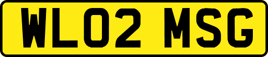 WL02MSG
