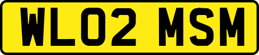 WL02MSM