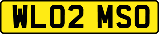 WL02MSO