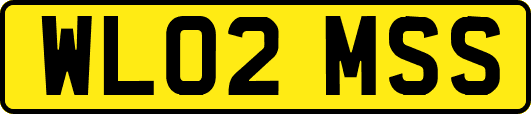 WL02MSS