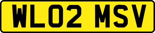WL02MSV