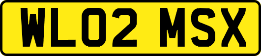 WL02MSX