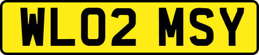 WL02MSY