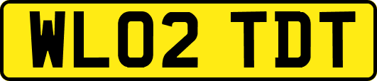 WL02TDT