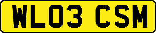 WL03CSM