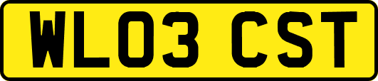 WL03CST