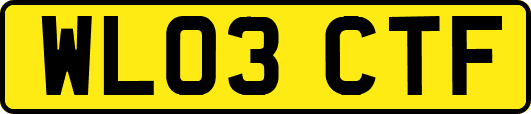 WL03CTF
