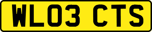 WL03CTS