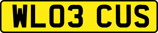 WL03CUS